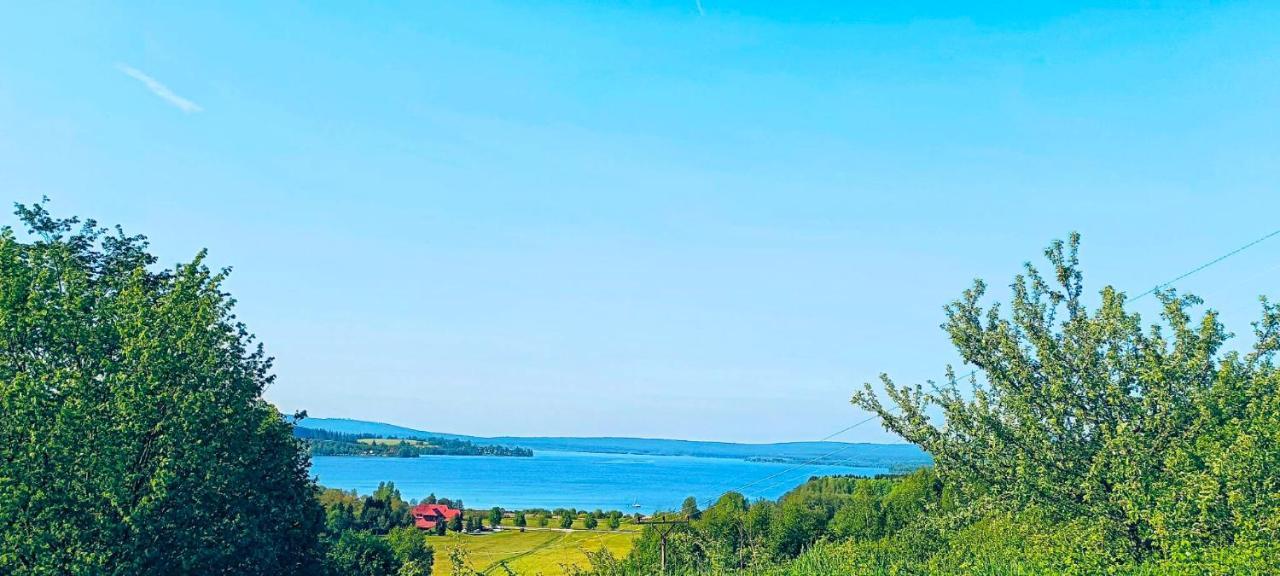 Apartman U Vrbu Černá v Pošumaví Extérieur photo